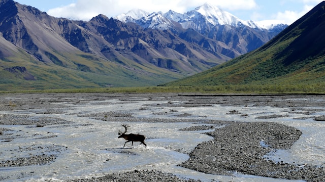 Évasion dans la nature : Yukon & Alaska